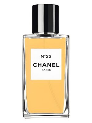 Chanel N22