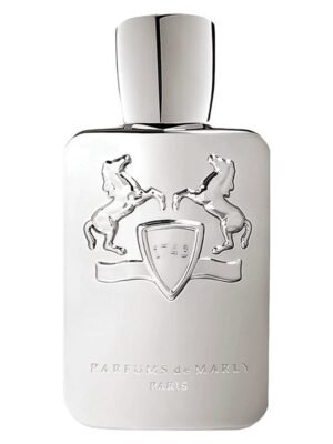 PDM Men Pegasus