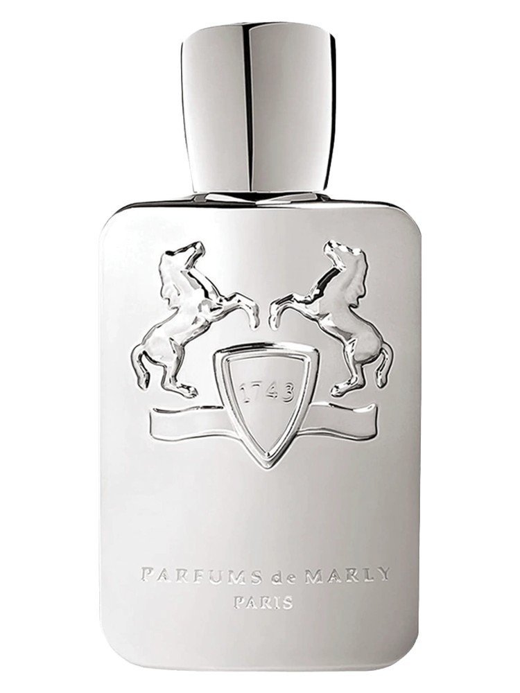 PDM Men Pegasus