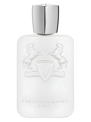 PDM Men Galloway