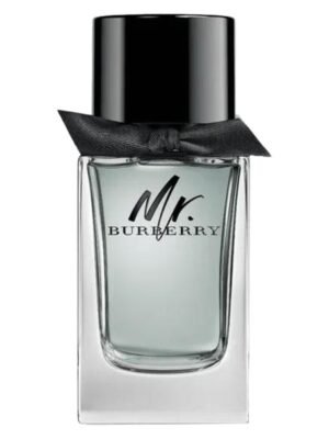 Mr. Burberry EDT
