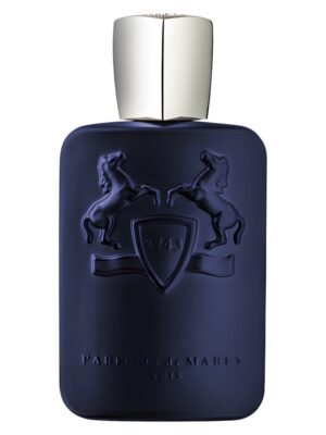 PDM Men Layton