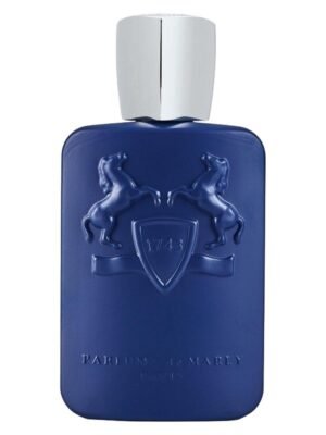PDM Men Percival