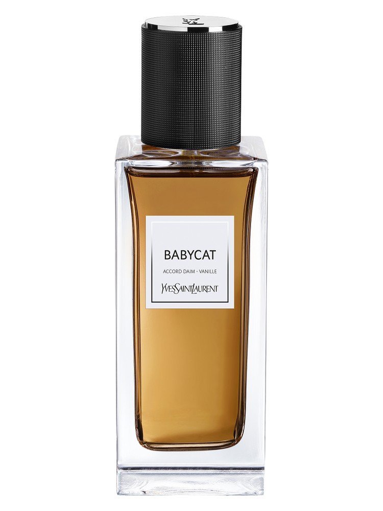 YSL Babycat (2023 batch)